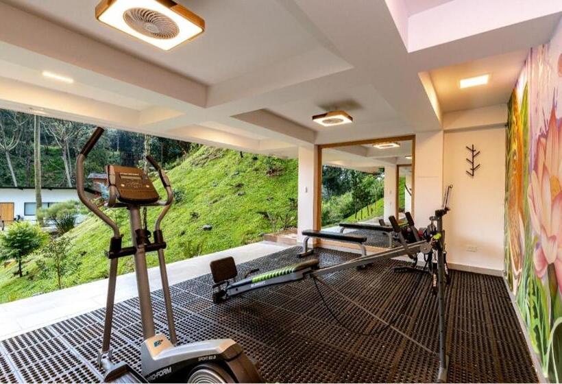 پانسیون Zen Medellin Maya