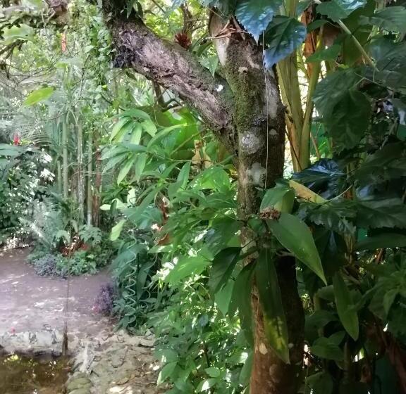 بنسيون El Ceibo Backpakers