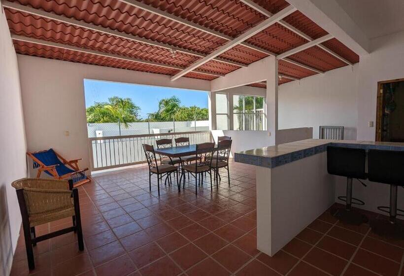 پانسیون Hostal El Pulpo   Internet Starlink