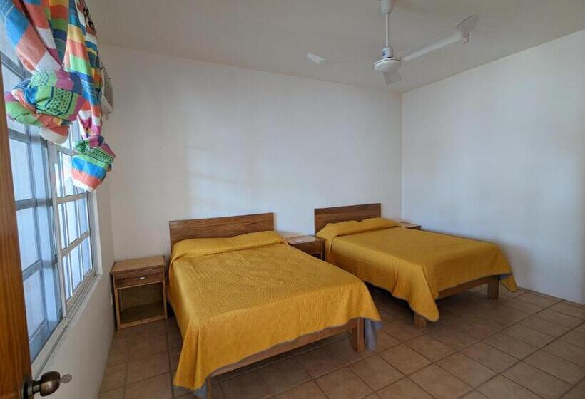 پانسیون Hostal El Pulpo   Internet Starlink