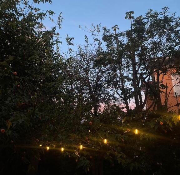 تختخواب و صبحانه Campus Residencias