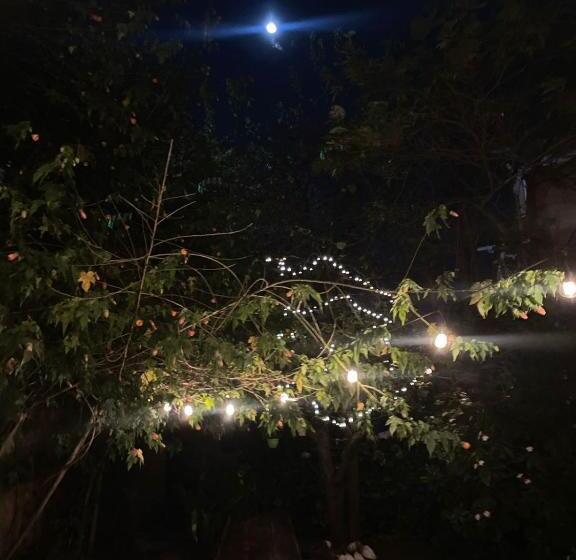 تختخواب و صبحانه Campus Residencias