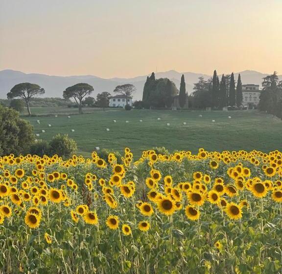 مبيت وإفطار Casa Le Rondini Toscana