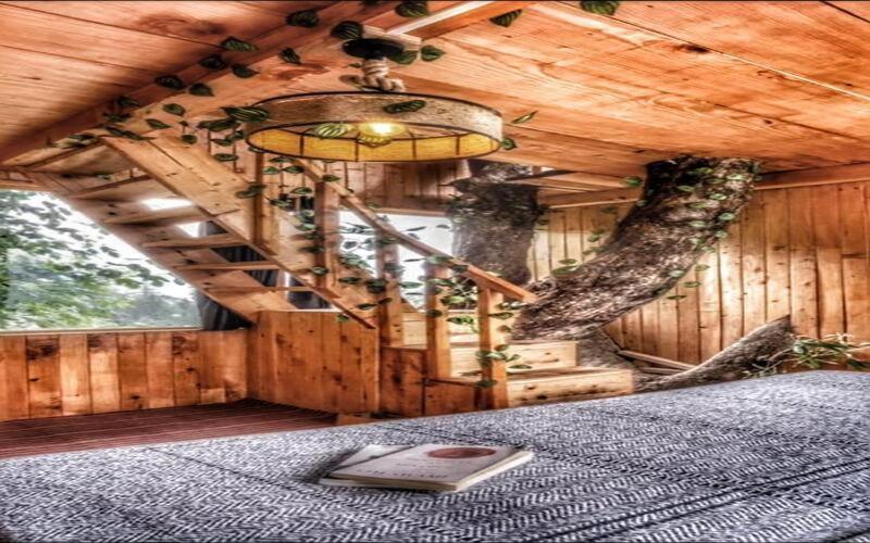 مبيت وإفطار Khwaab The Cottages And Tree House
