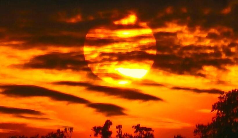 استراحتگاه Mansuar Raja Ampat Bungalows