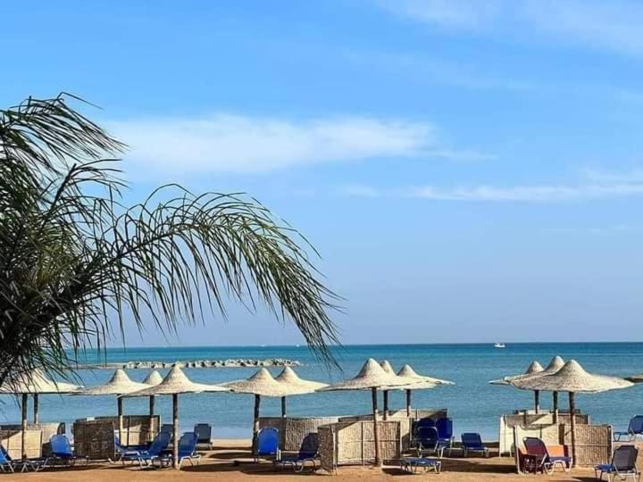 Turtles Beach Resort Hourghada Studio View Sea View Pool Private Beach Pools Balcony Security Cafe A