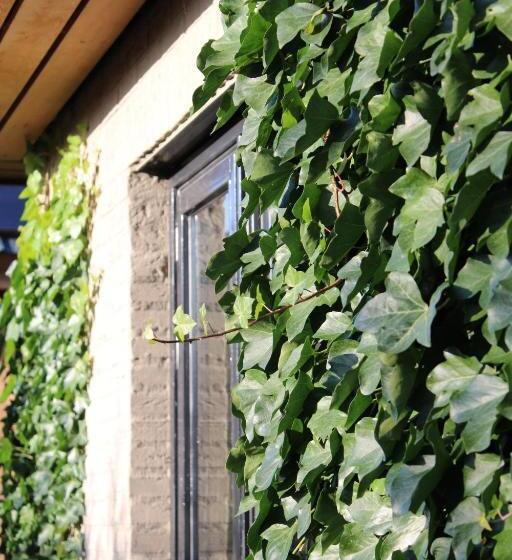 צימר Tiny House In De Boomgaard