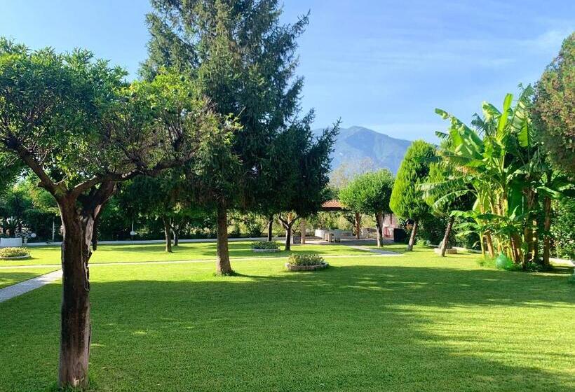 تختخواب و صبحانه Villa Josette