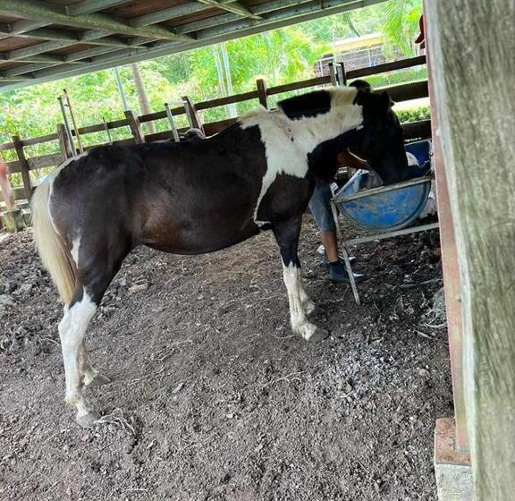 فندق El Rancho De Viejo