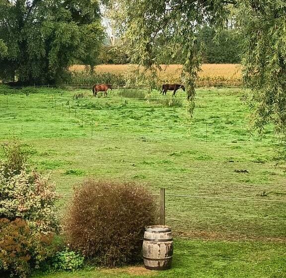 بنسيون Relais De Moidrey