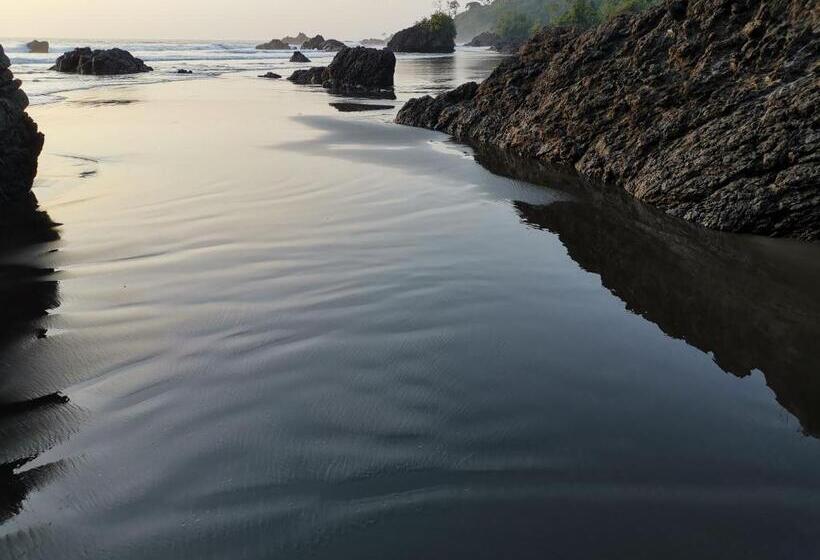 هاستل Hostal Herping Bahia Solano Tour