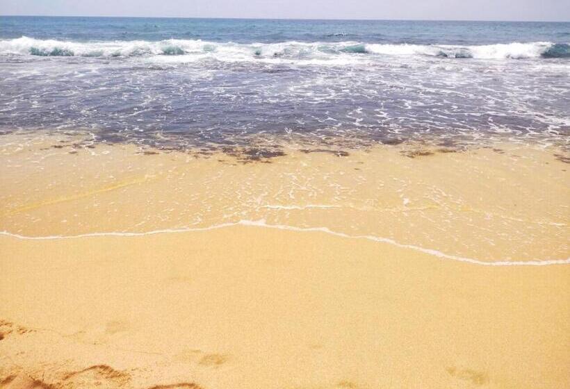 هتل Dalawella Beach Resort