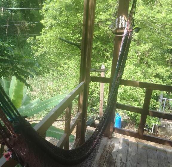 Onat Caribe Hostel