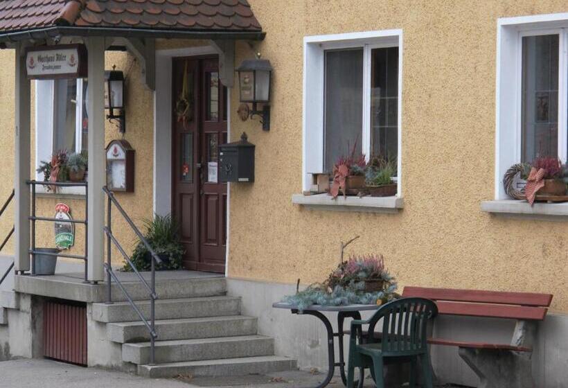 호스텔 Gasthaus Adler