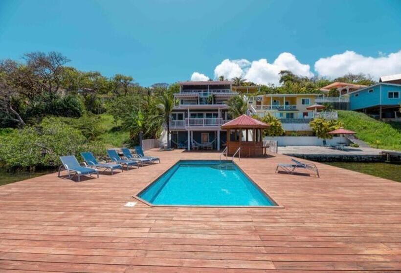 هاستل Sir Sea Villas Of Roatan Sailfish 1 Bed 1 Bath