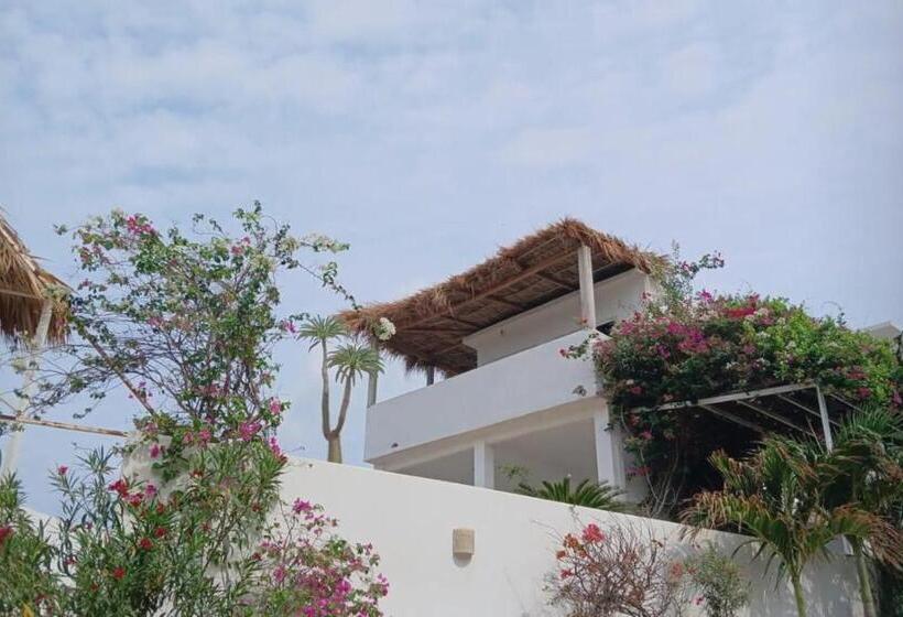 هتل Bungalows Punta Conejo
