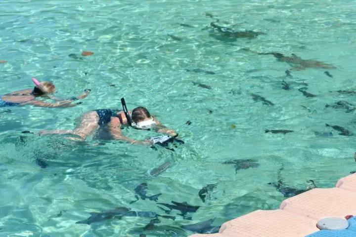 پانسیون David Homestay Raja Ampat