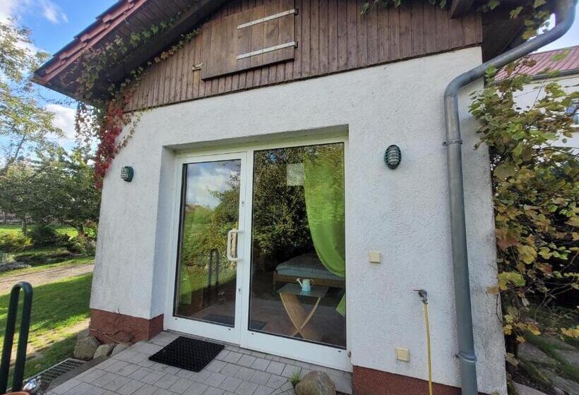 פנסיון Hirschhof Hildebrandt