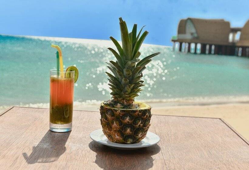 Tawila Island Resort