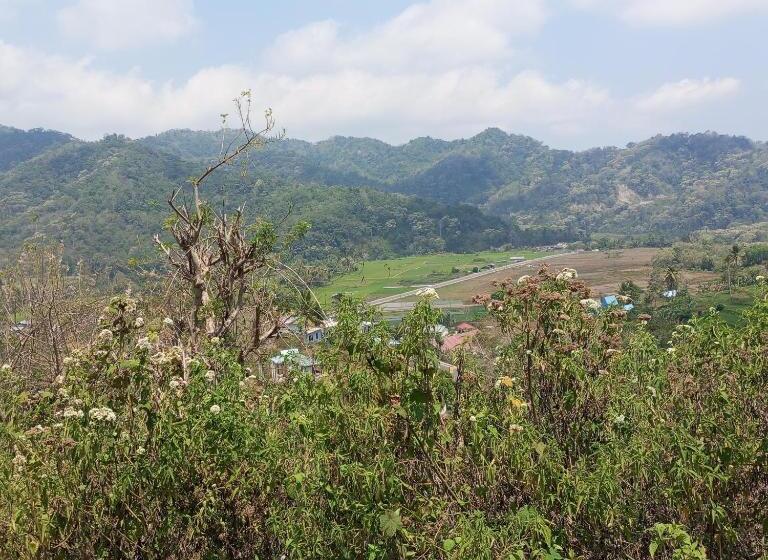 تختخواب و صبحانه Cheapackers