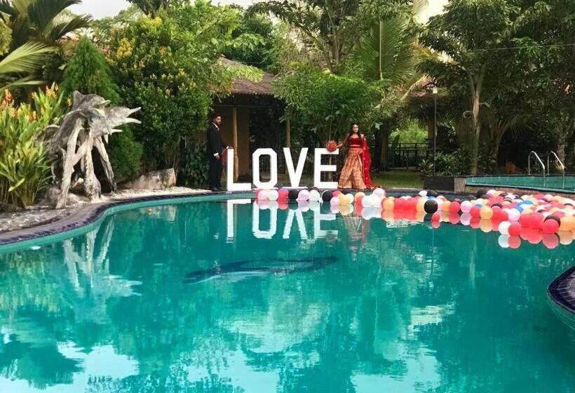 酒店 Manikgoda Tea Paradise