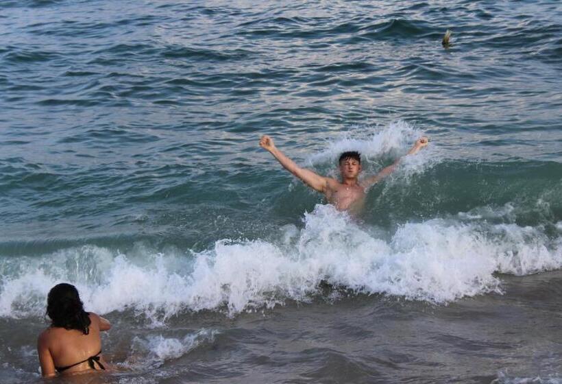 酒店 Manikgoda Tea Paradise