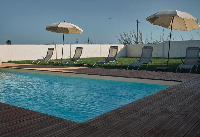 بنسيون Palmeiras Beach House   Santa Cruz