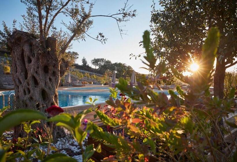 צימר Cabras Kazdağları