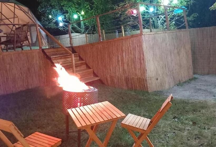 ベッドアンドブレックファースト Sapanca Palmera Dome