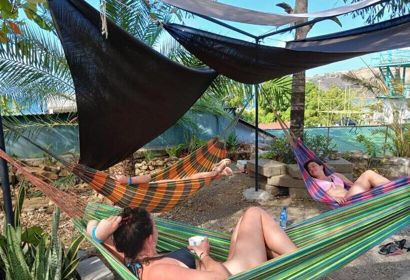 پانسیون Hostel Saltwater