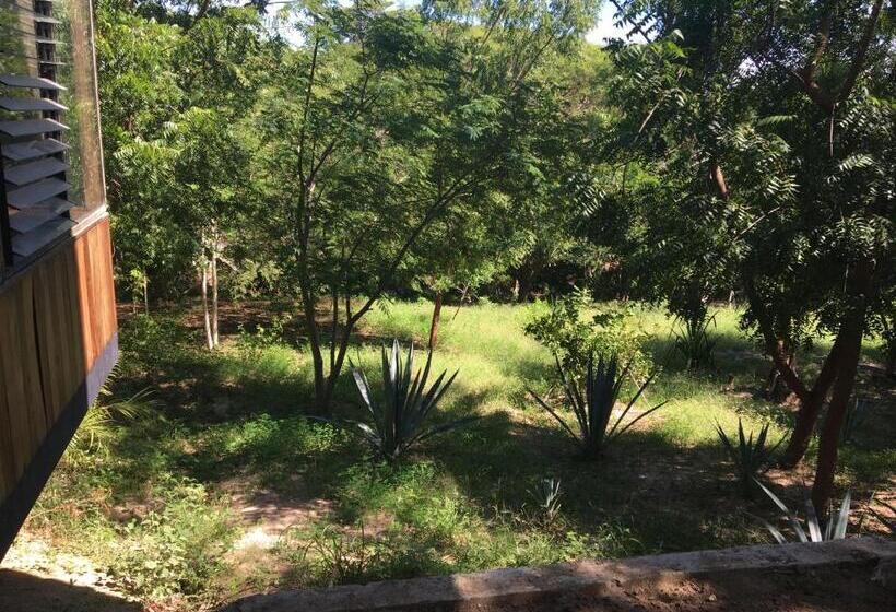 פנסיון Room In House   Double Bed, Queen Size, Small Kitchen, Terrace, Wi Fi  Air Condition