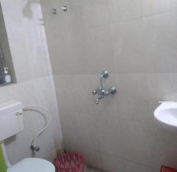 פנסיון Sreeja Sana Inn