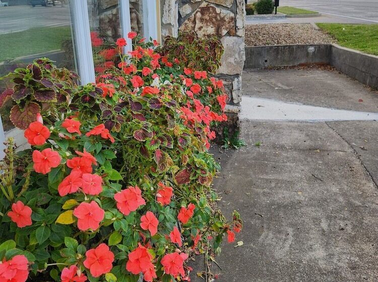Homestead Motel