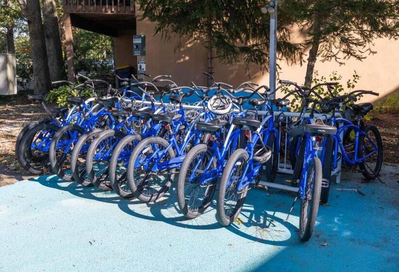 فندق Canalside Inn