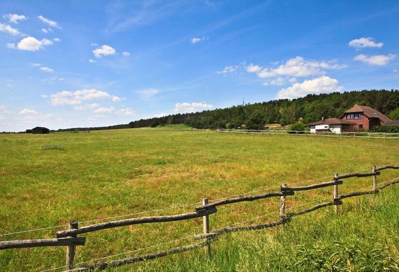 هتل Country Inn Suiten