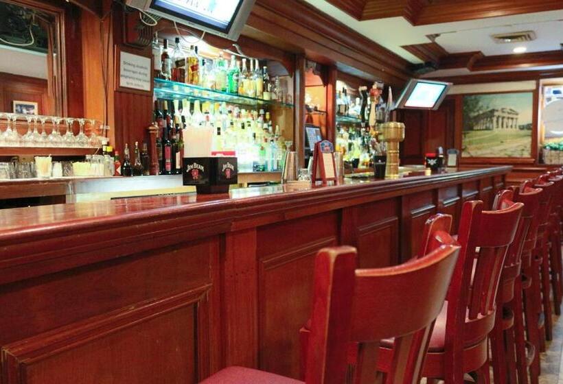 Fotos del hotel Da Vinci:  25