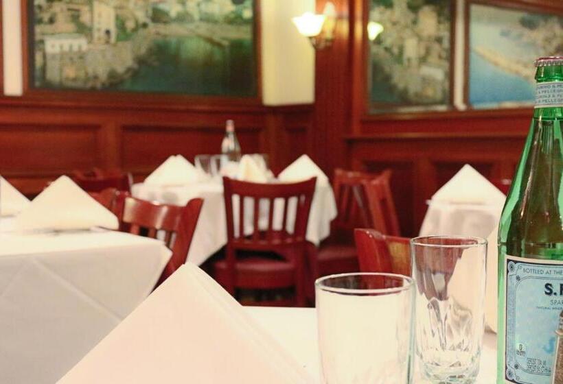 Fotos del hotel Da Vinci:  18