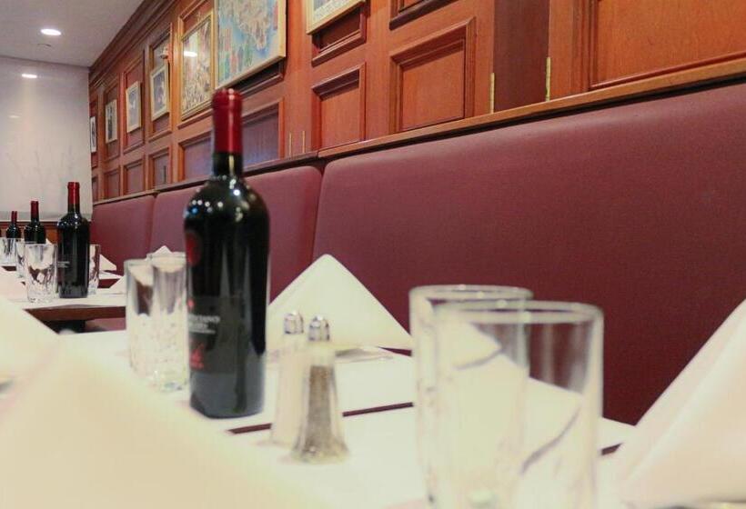 Fotos del hotel Da Vinci:  19