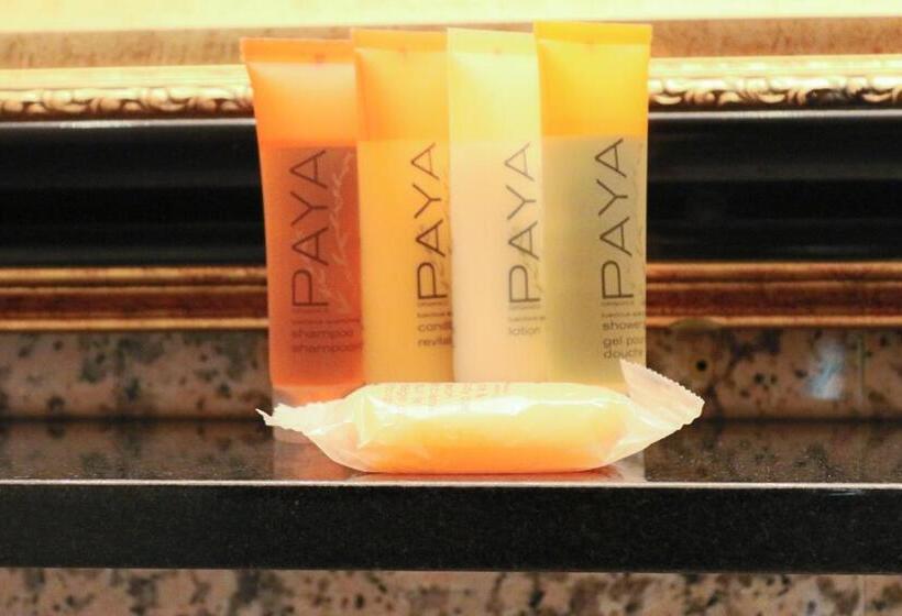 Fotos del hotel Da Vinci:  6