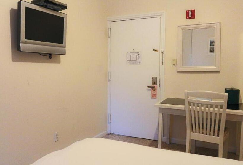 Fotos del hotel Da Vinci:  13