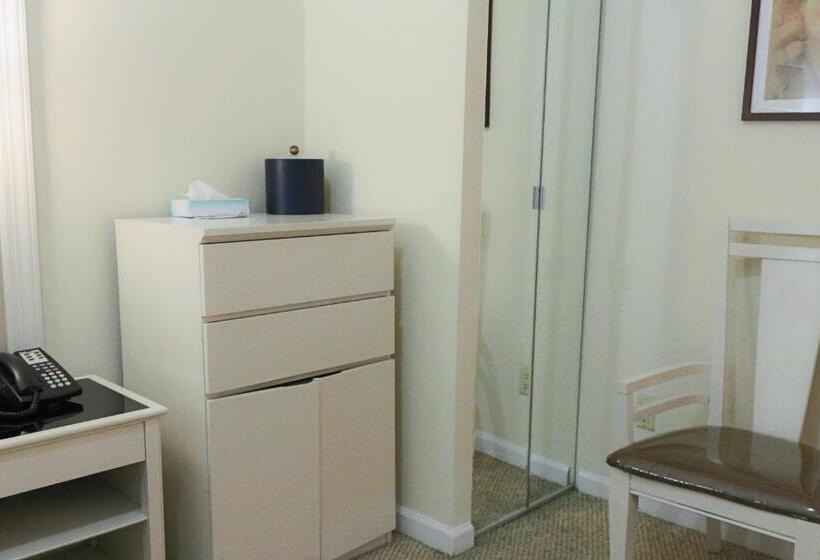 Fotos del hotel Da Vinci:  37