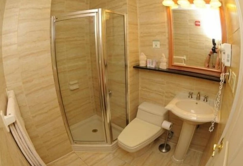 Fotos del hotel Da Vinci:  38