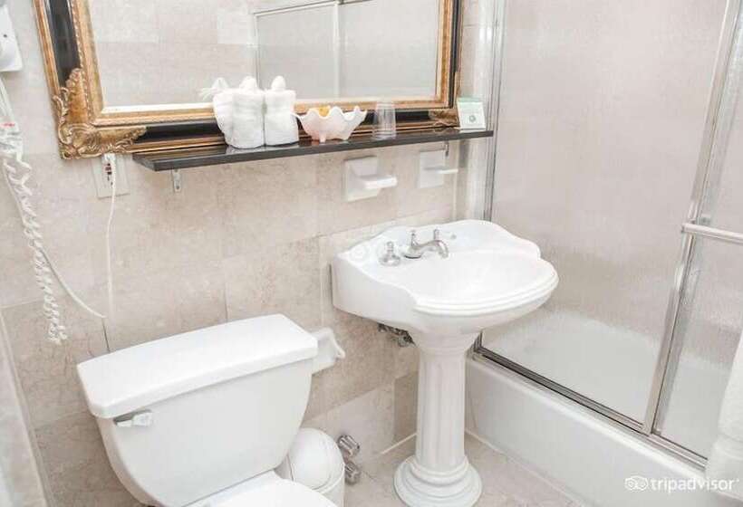 Fotos del hotel Da Vinci:  27