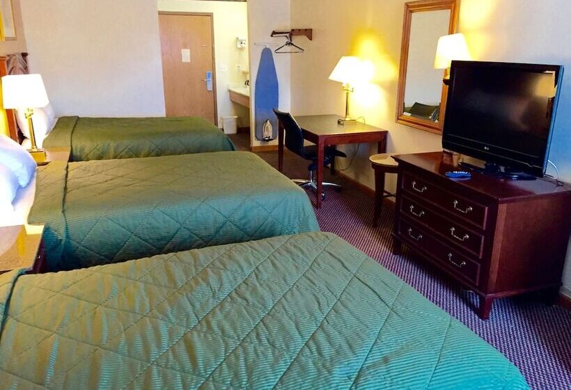 ホテル Executive Inn And Suites