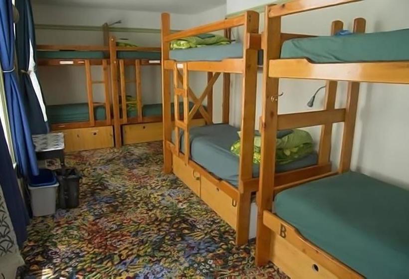 هتل Green Tortoise Hostel