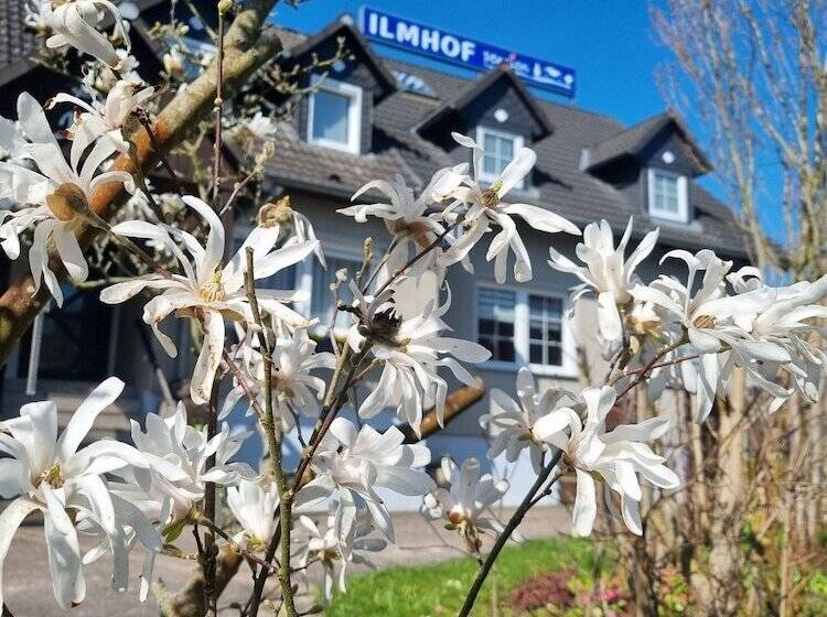 Отель Pension Ilmhof