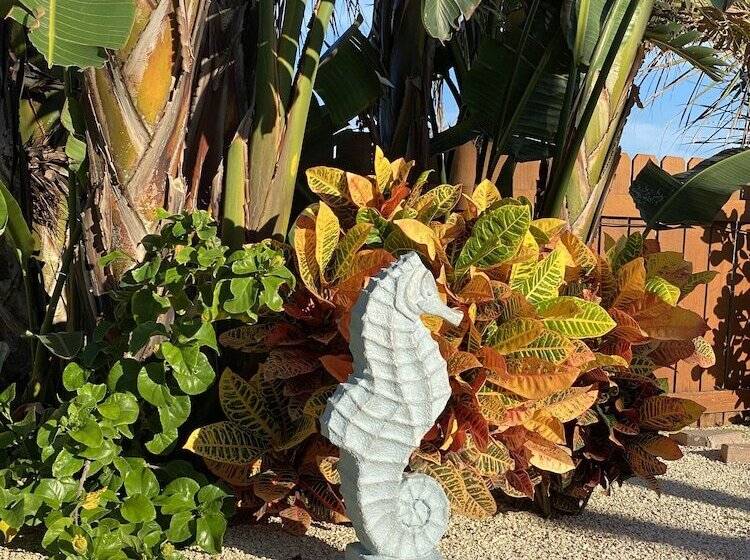 هتل Seahorse Oceanfront Inn