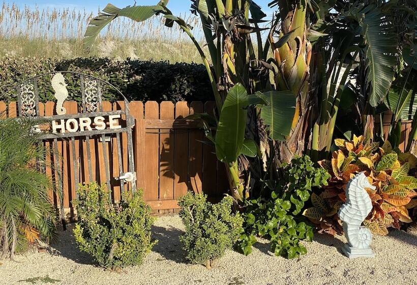 هتل Seahorse Oceanfront Inn