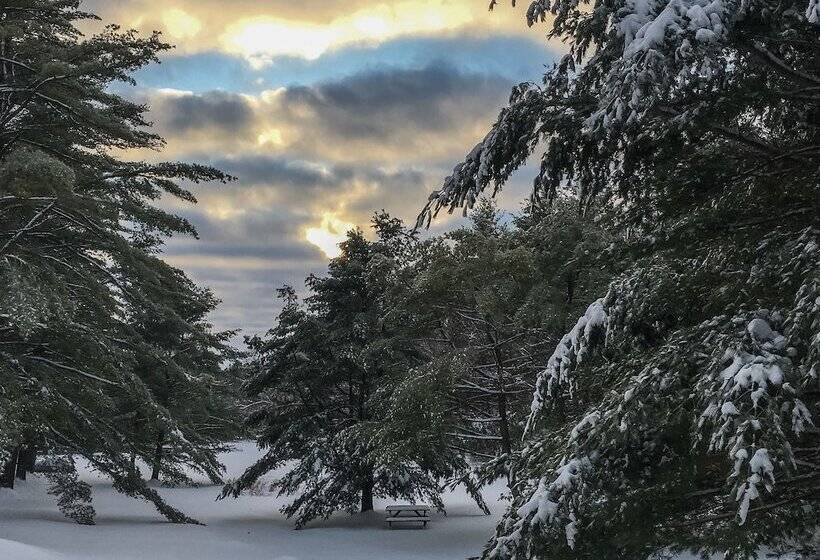 هتل Silver Spruce Resort