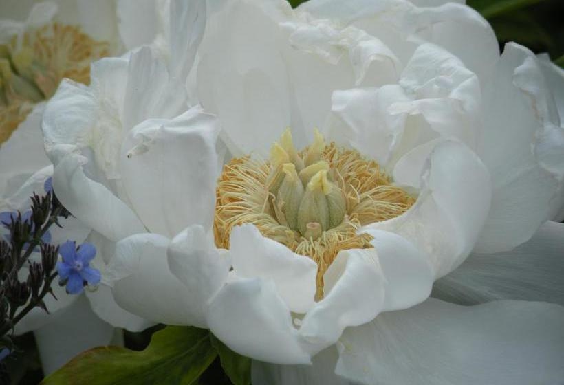 هتل The Ellwanger Estate